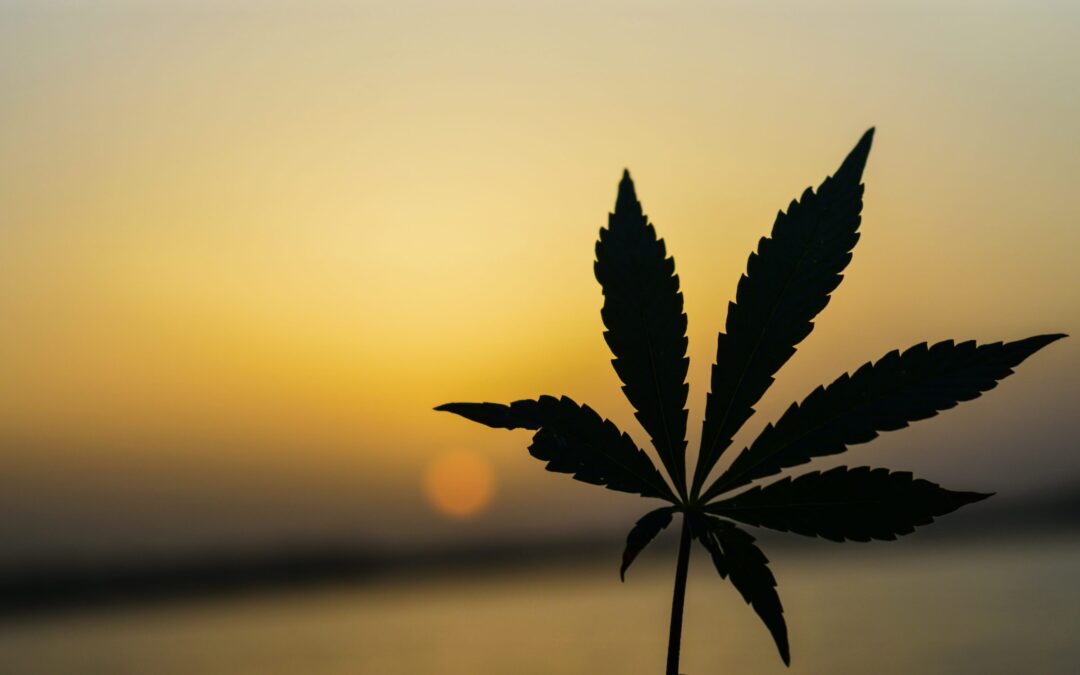 “Marijuana” is a Racist Term According to Washington Lawmakers